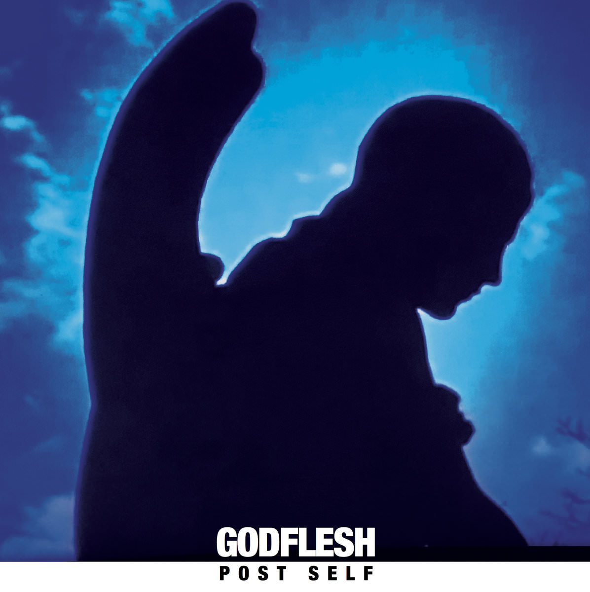 Godflesh – Post Self (2017) [Bandcamp FLAC 24bit/44,1kHz]