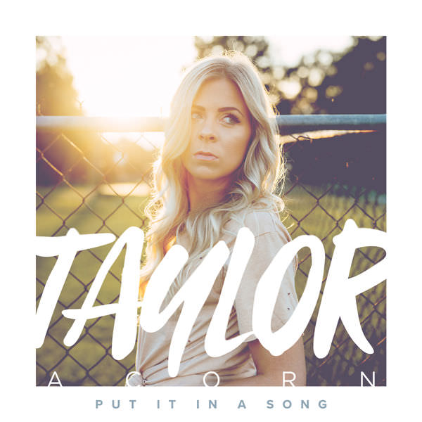 Taylor Acorn – Put It in a Song (2017) [FLAC 24bit/44,1kHz]