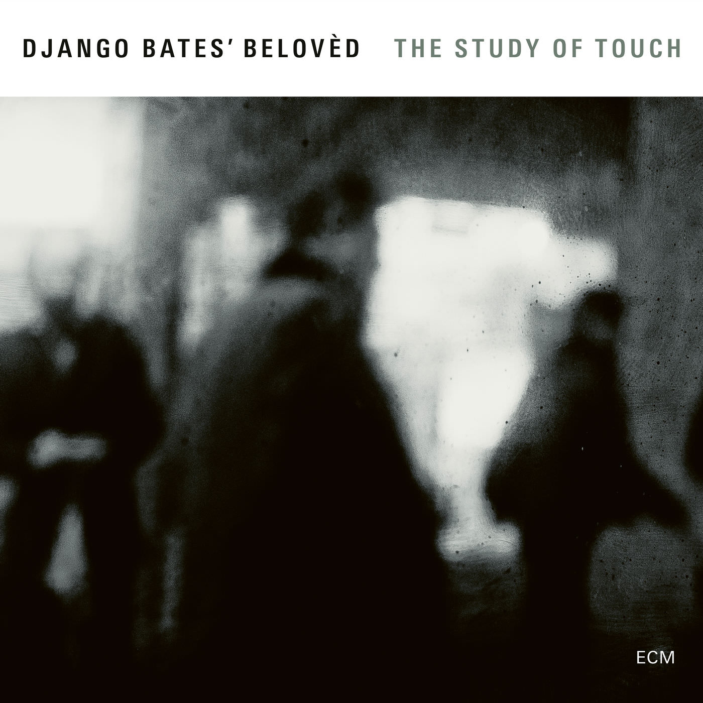 Django Bates Beloved – The Study Of Touch (2017) [Qobuz FLAC 24bit/96kHz]