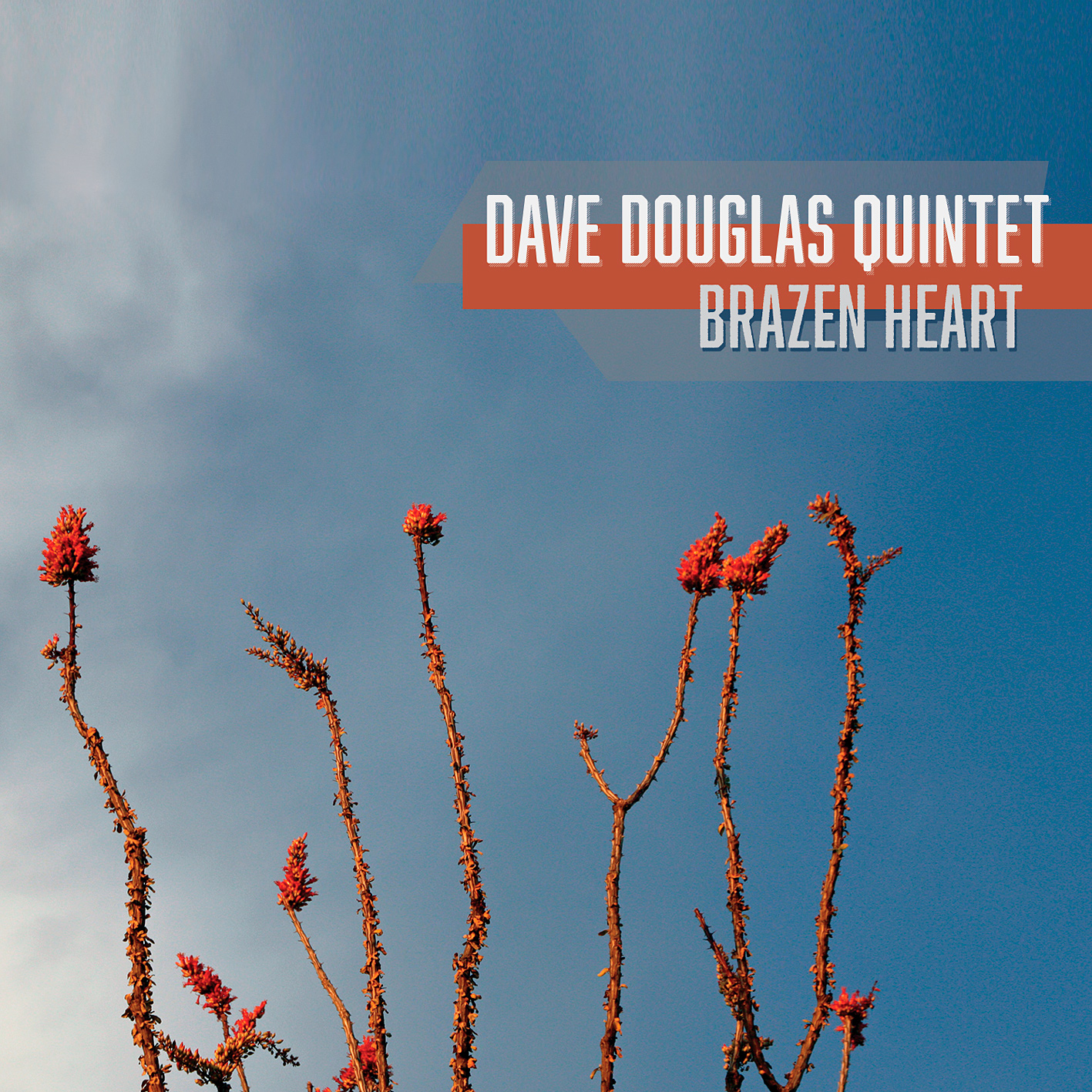 Dave Douglas Quintet - Brazen Heart (2015) [HDTracks FLAC 24bit/88,2kHz]