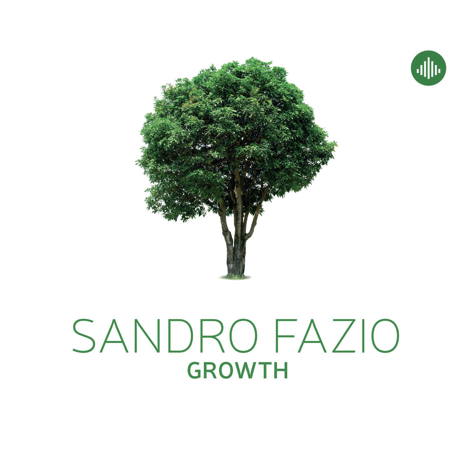 Sandro Fazio - Growth (2015) [Qobuz FLAC 24bit/96kHz]