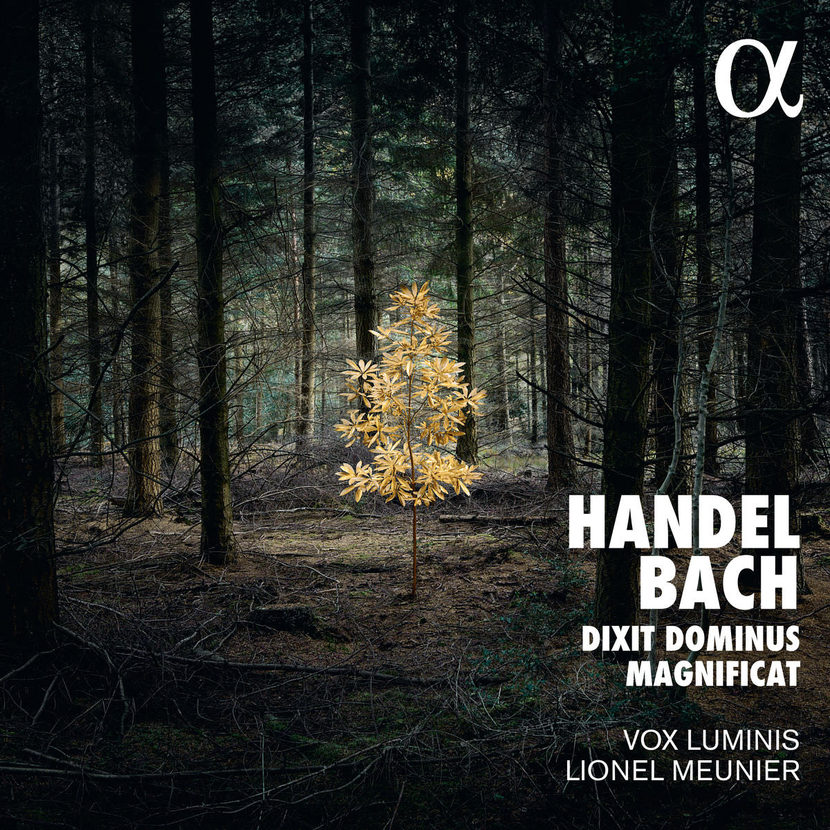 Vox Luminis & Lionel Meunier - Bach: Magnificat - Handel: Dixit Dominus (2017) [Qobuz FLAC 24bit/96kHz]