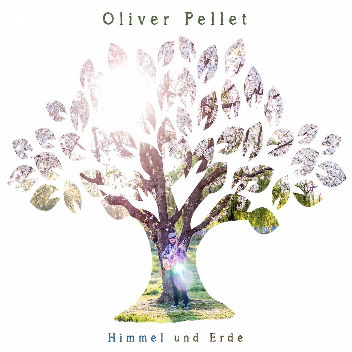 Oliver Pellet - Himmel und Erde (2017) [Qobuz FLAC 24bit/96kHz]
