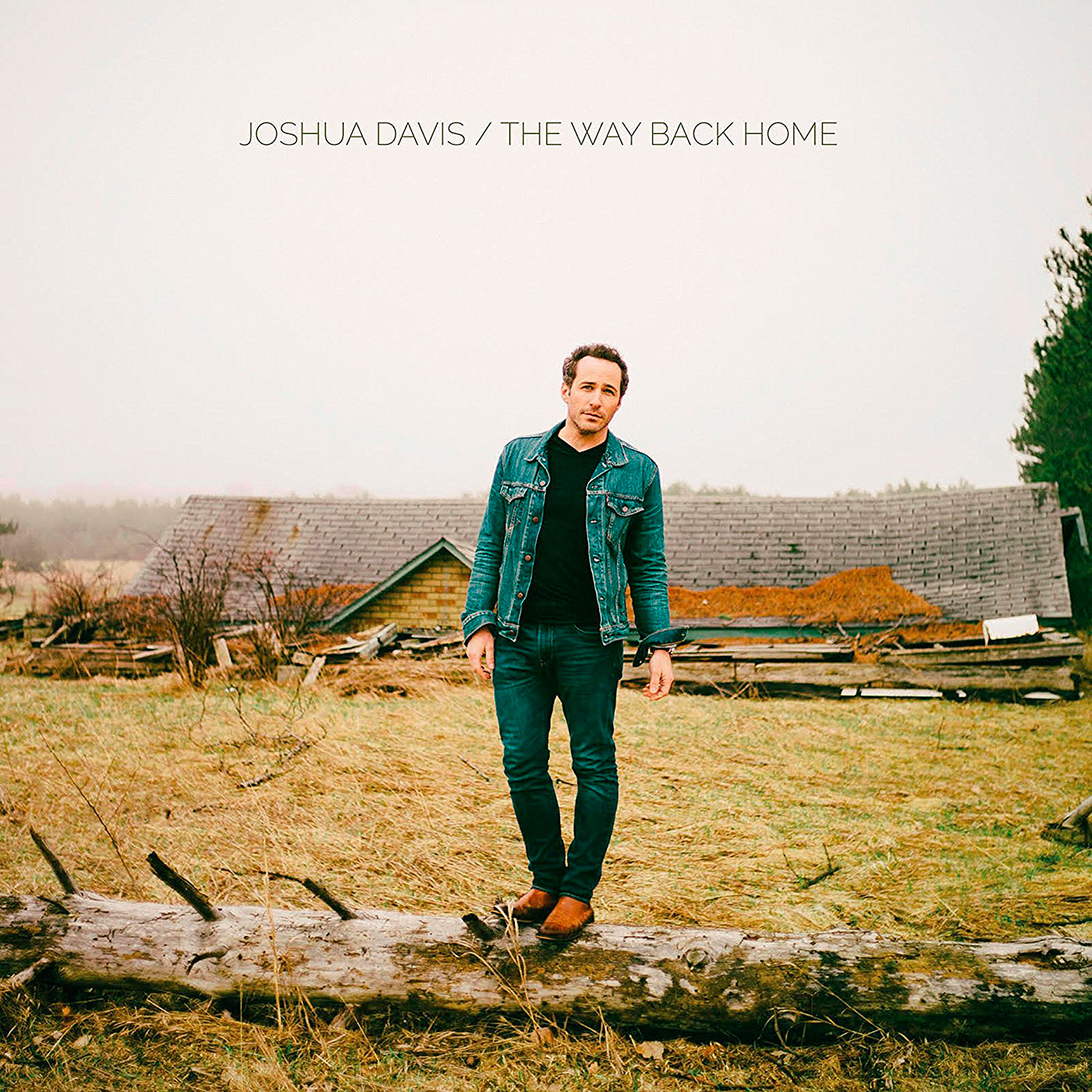 Joshua Davis – The Way Back Home (2017) [Qobuz FLAC 24bit/48kHz]