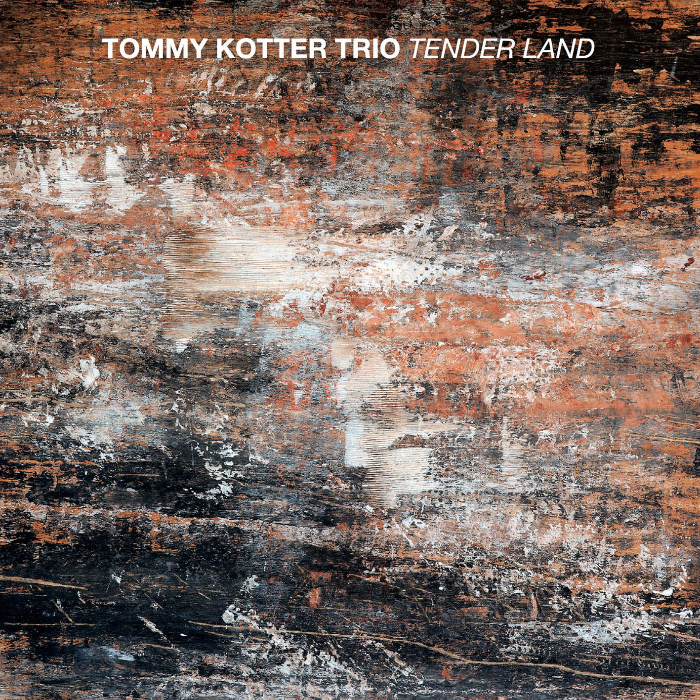 Tommy Kotter Trio – Tender Land (2017) [HDTracks FLAC 24bit/96kHz]