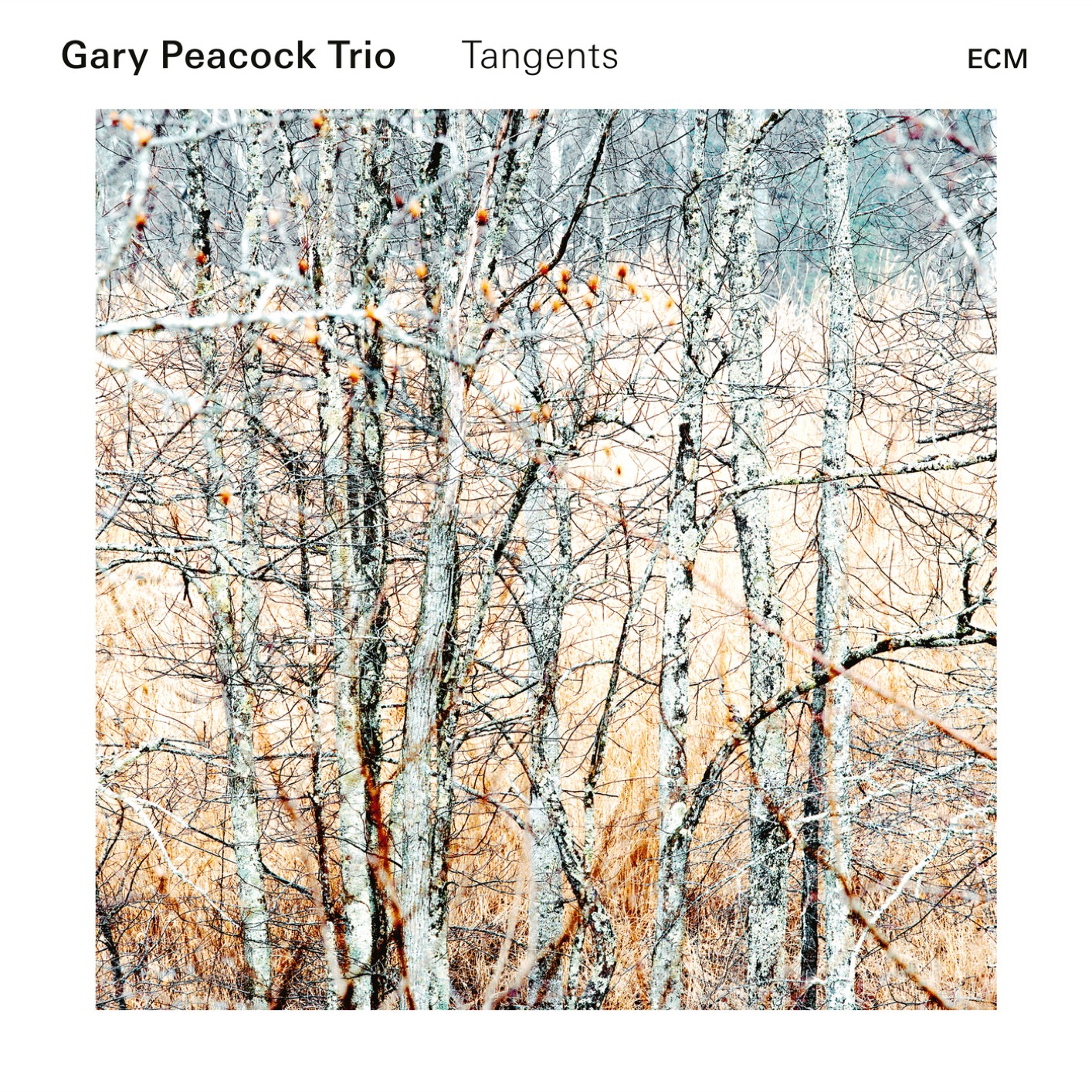 Gary Peacock Trio - Tangents (2017) [FLAC 24bit/96kHz]