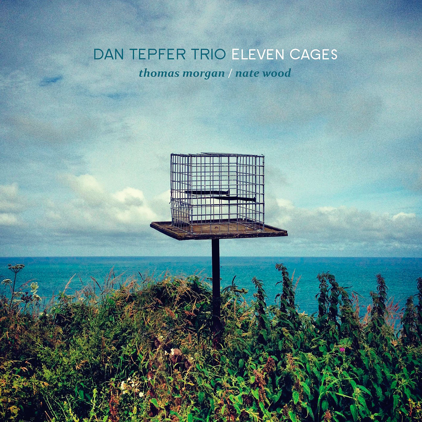 Dan Tepfer – Eleven Cages (2017) [HDTracks FLAC 24bit/44,1kHz]