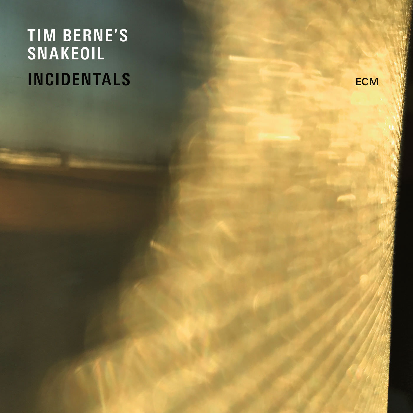 Tim Berne’s Snakeoil – Incidentals (2017) [Qobuz FLAC 24bit/44,1kHz]