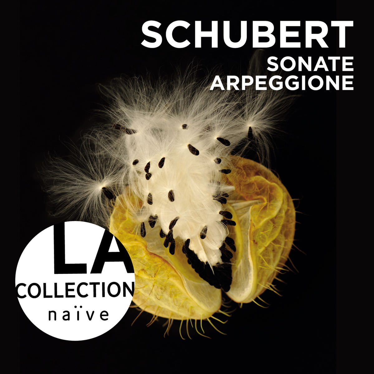 Anne Gastinel & Claire Desert – Schubert: Sonate Arpeggione (2013) [FLAC 24bit/44,1kHz]
