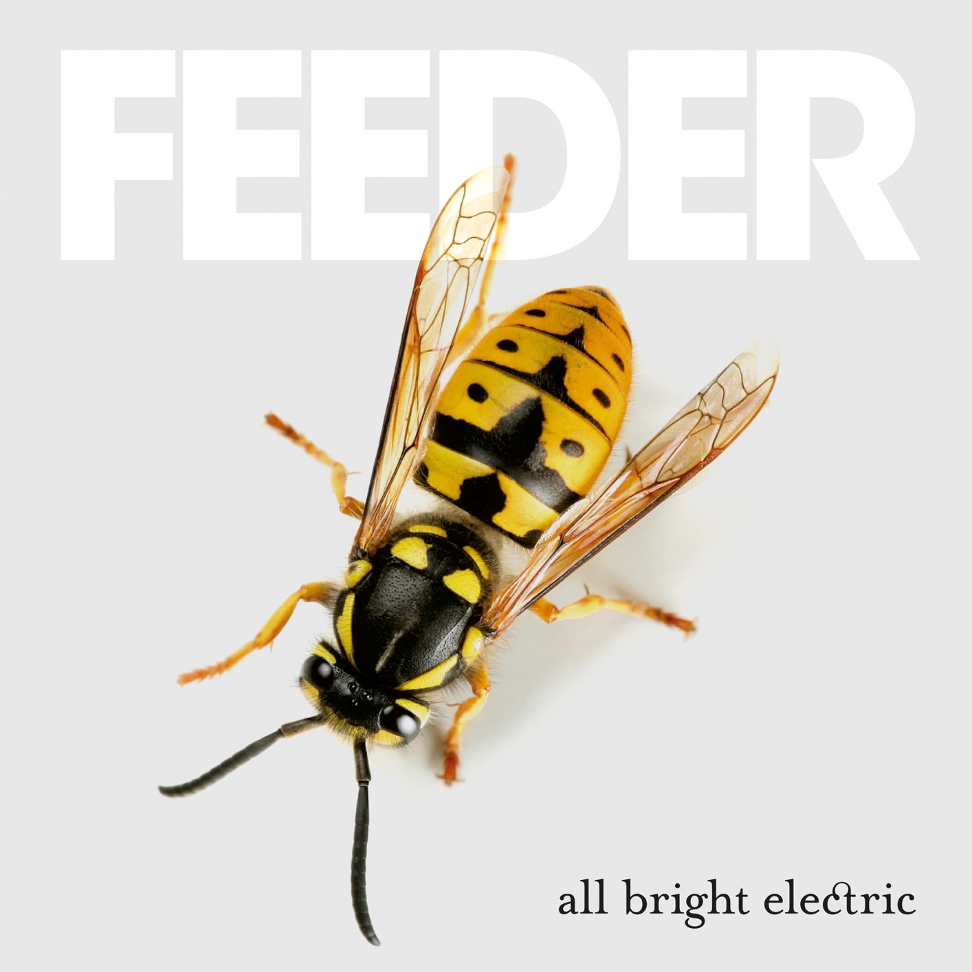 Feeder - All Bright Electric (Deluxe Version) (2016/2018) [FLAC 24bit/44,1kHz]