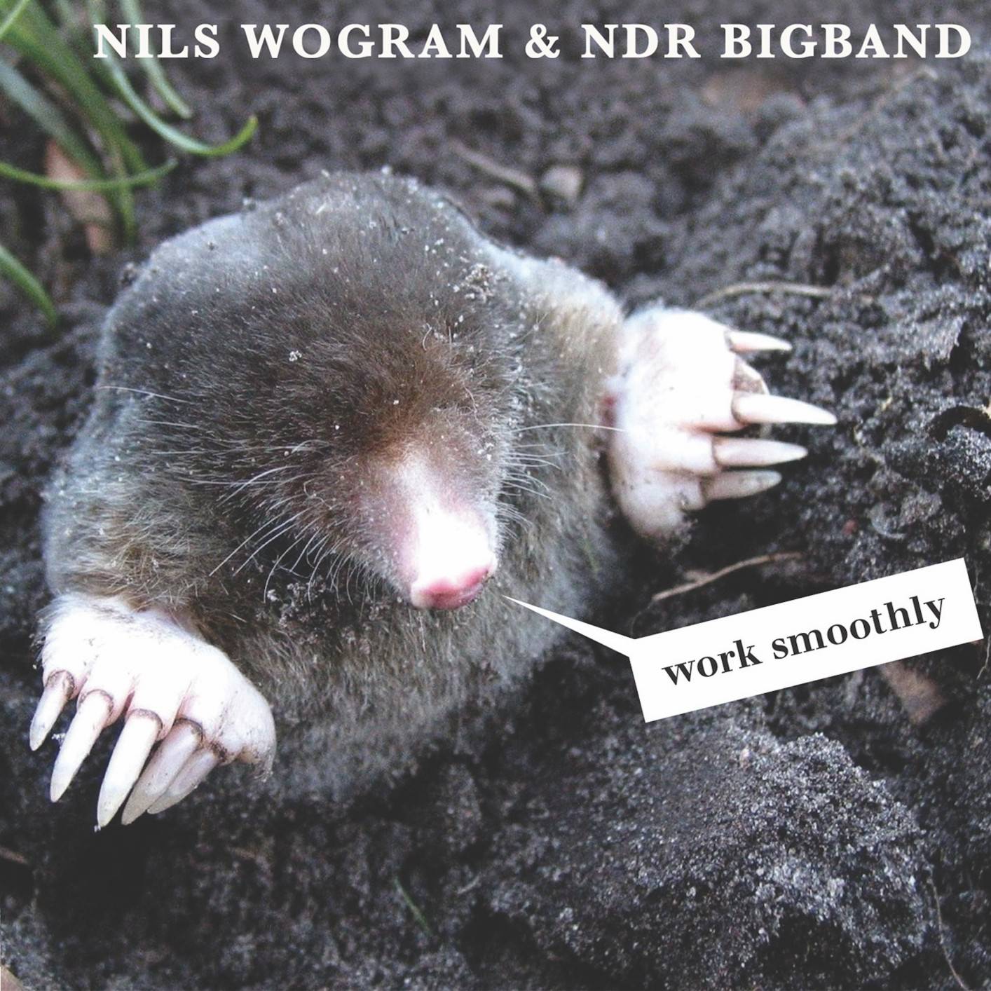 Nils Wogram & NDR Bigband - Work Smoothly (2018) [FLAC 24bit/44,1kHz]