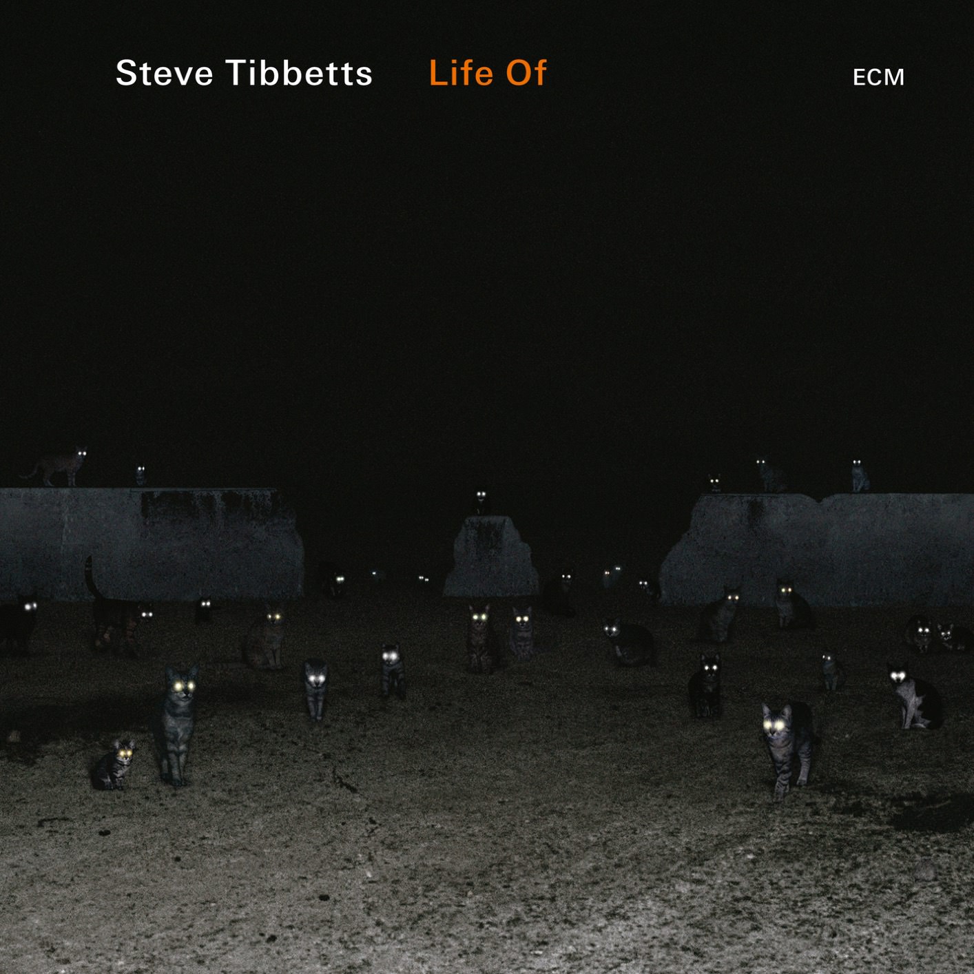 Steve Tibbetts - Life Of (2018) [FLAC 24bit/88,2kHz]