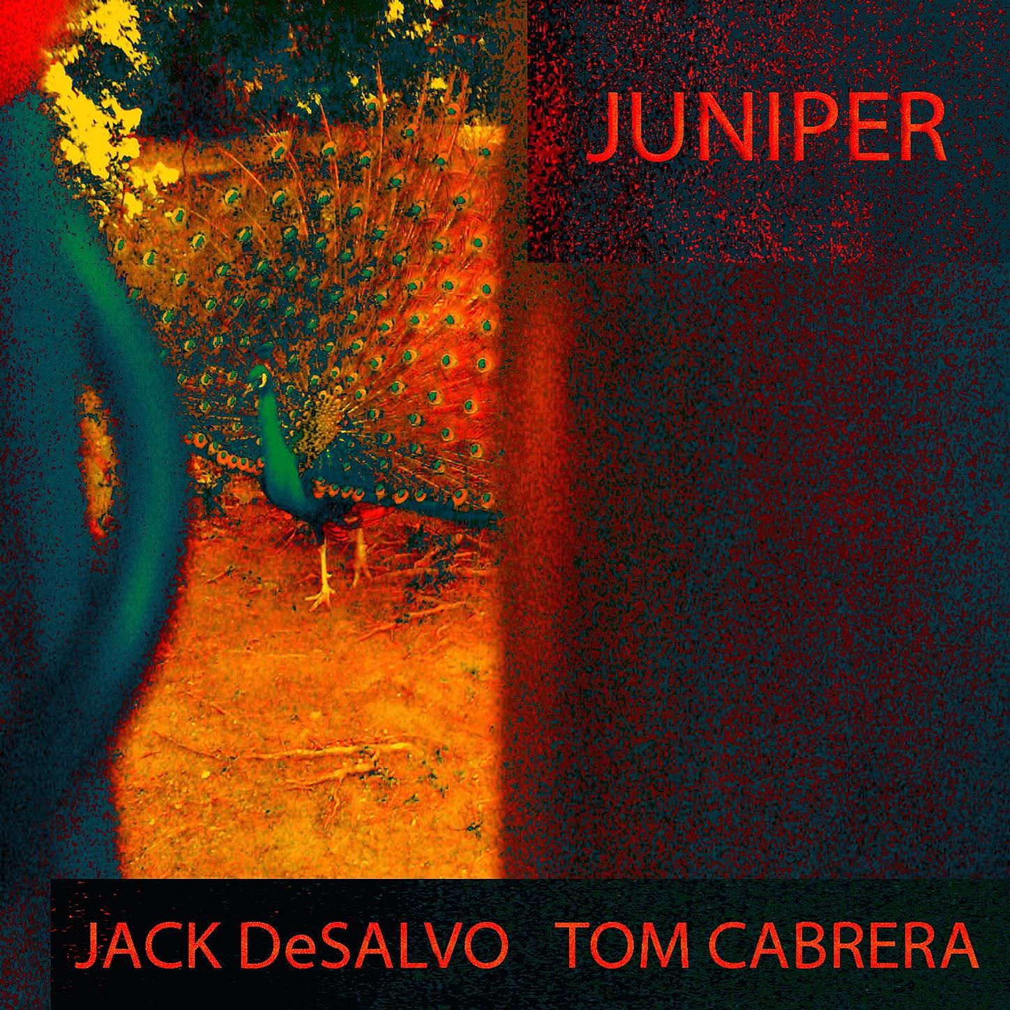 Jack DeSalvo & Tom Cabrera - Juniper (2014/2018) [Qobuz FLAC 24bit/88,2kHz]
