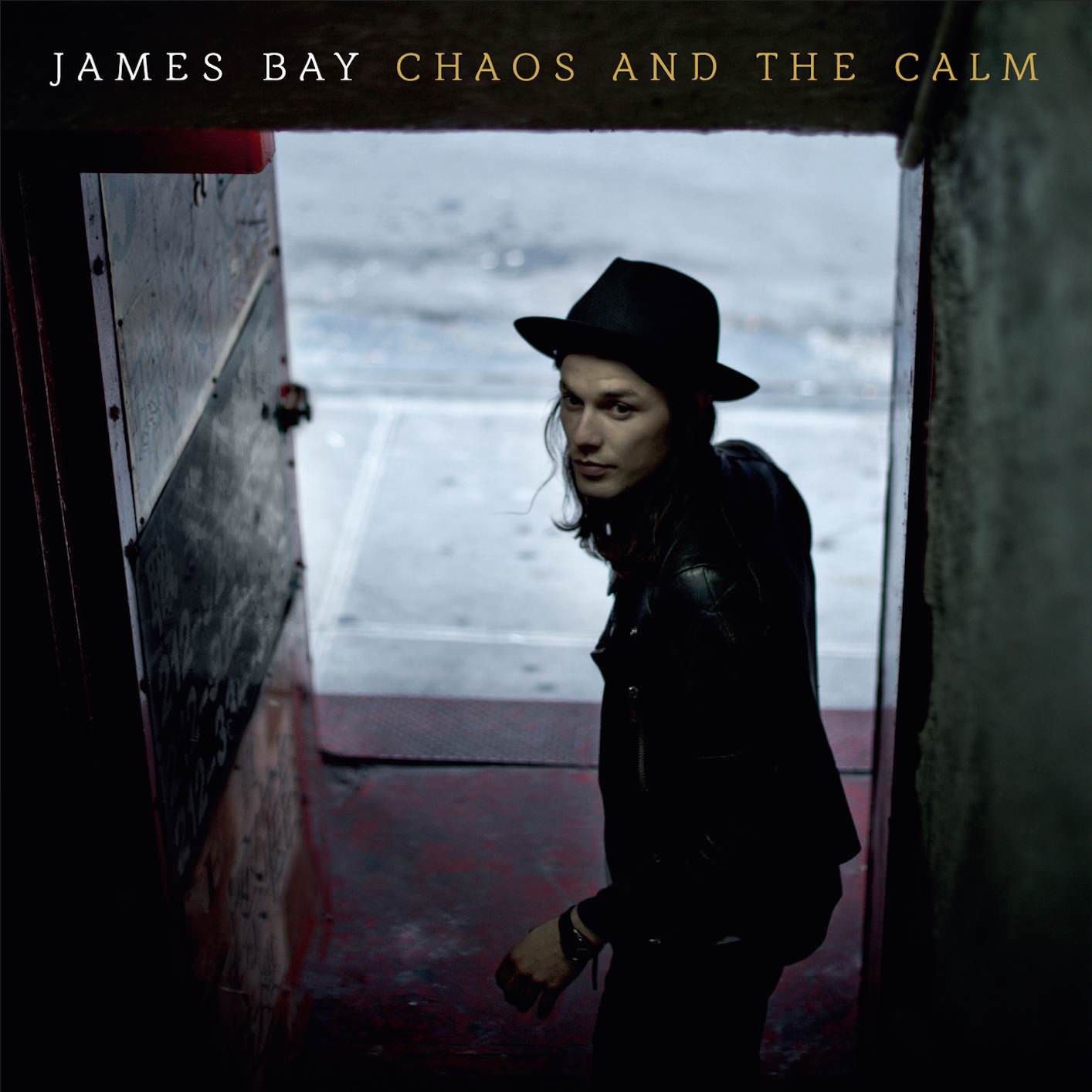 James Bay - Chaos And The Calm (2015) [Qobuz FLAC 24bit/88,2kHz]