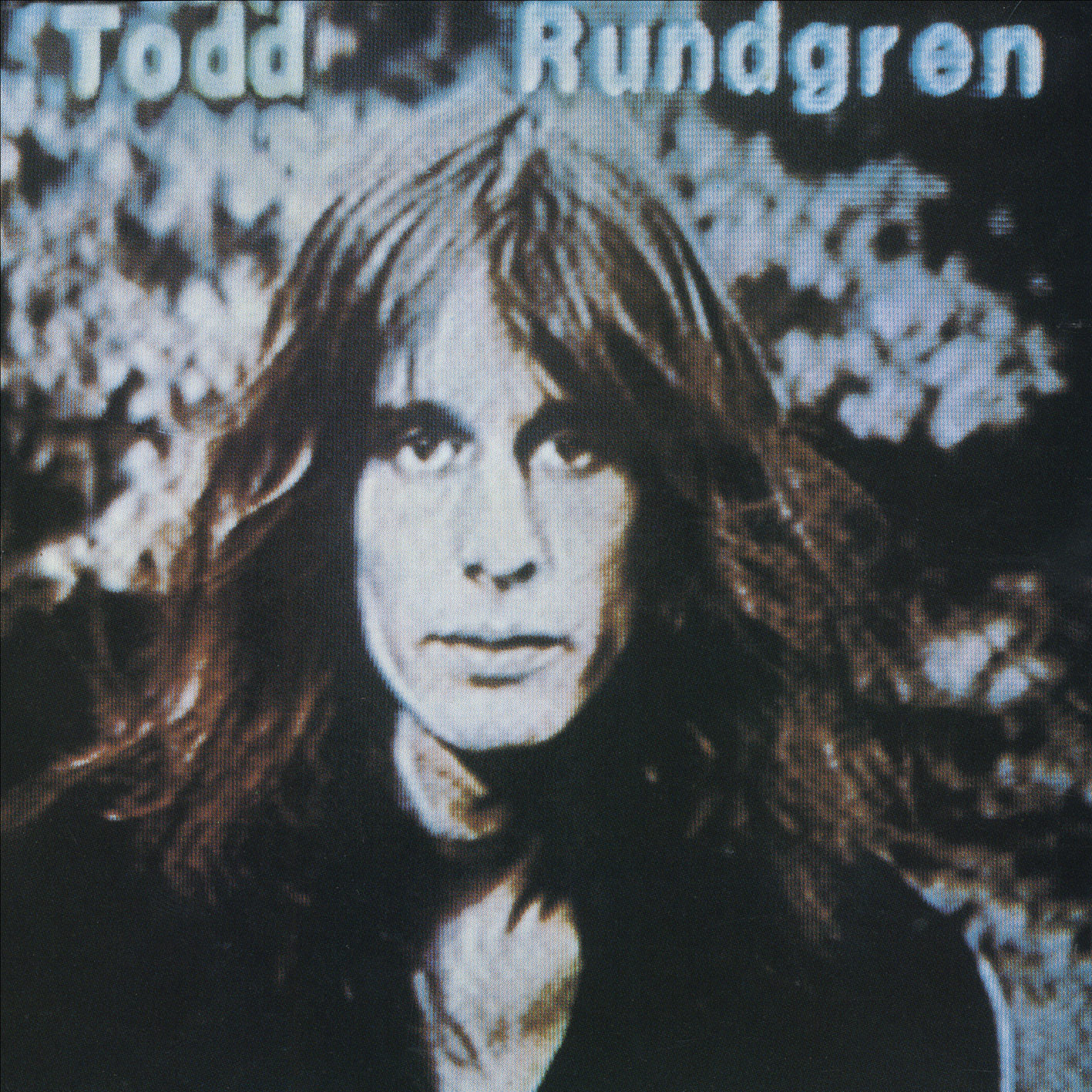 Todd Rundgren - Hermit Of Mink Hollow (1978/2013) [HDTracks FLAC 24bit/192kHz]