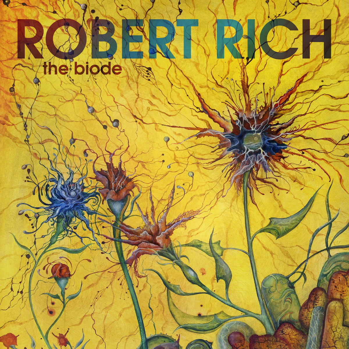 Robert Rich - The Biode (2018) [Bandcamp FLAC 24bit/96kHz]