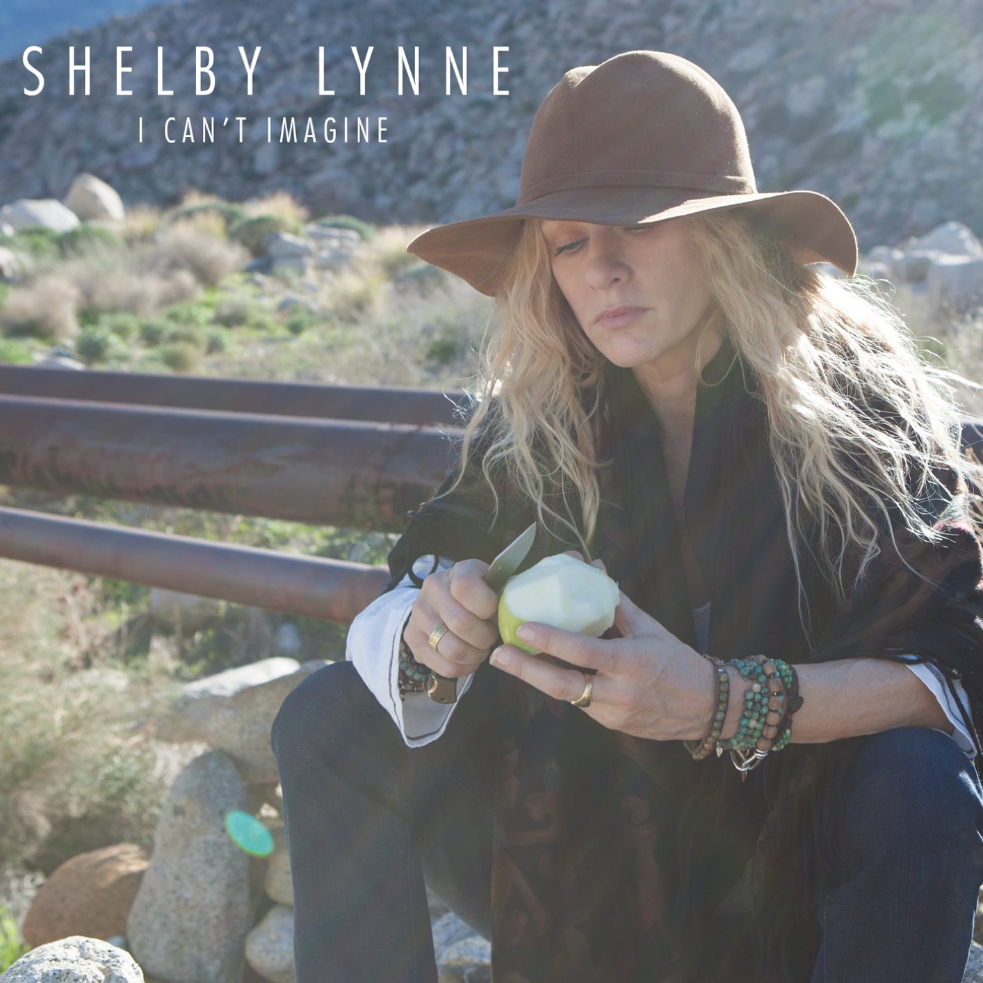 Shelby Lynne - I Can’t Imagine (2015) [FLAC 24bit/96kHz]