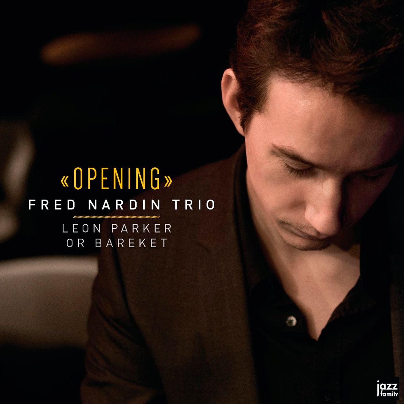 Fred Nardin Trio – Opening (2017) [Qobuz FLAC 24bit/88,2kHz]