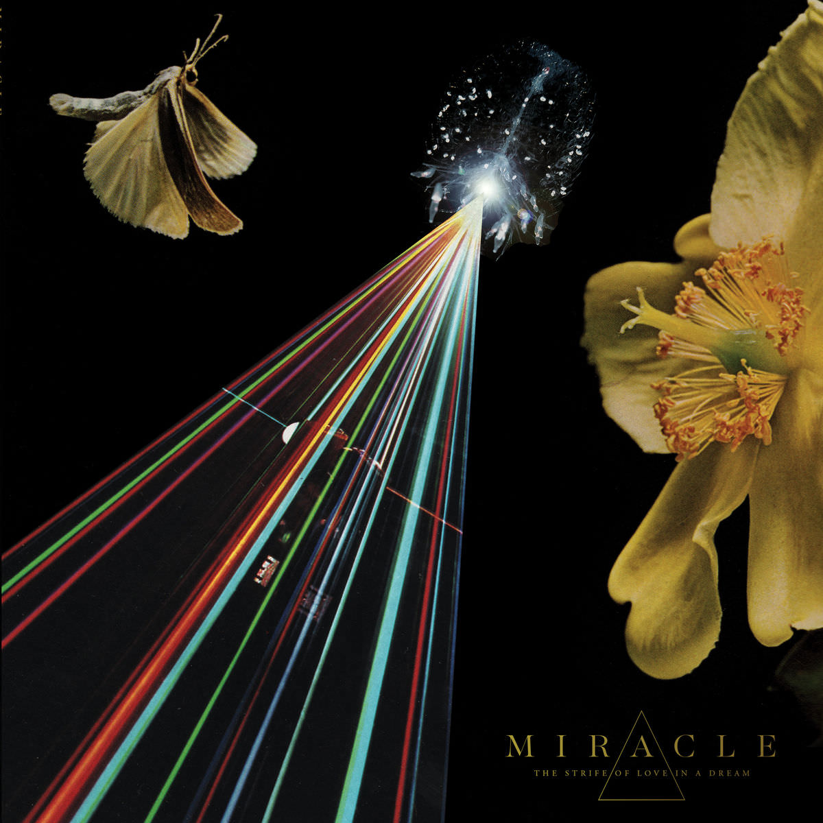 Miracle – The Strife of Love in a Dream (2018) [FLAC 24bit/96kHz]