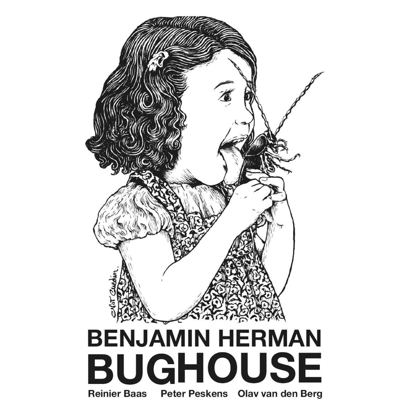 Benjamin Herman - Bughouse (2018) [FLAC 24bit/88,2kHz]