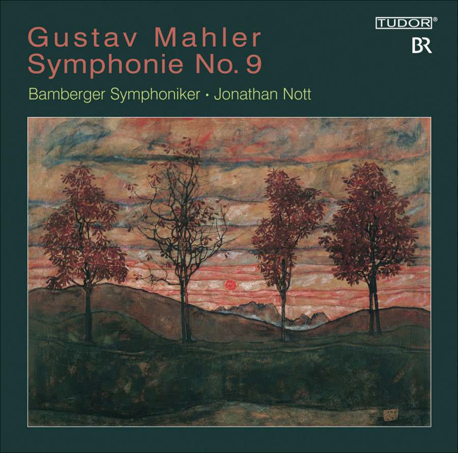 Bamberger Symphoniker, Jonathan Nott - Mahler: Symphony No. 9 (2009) SACD ISO