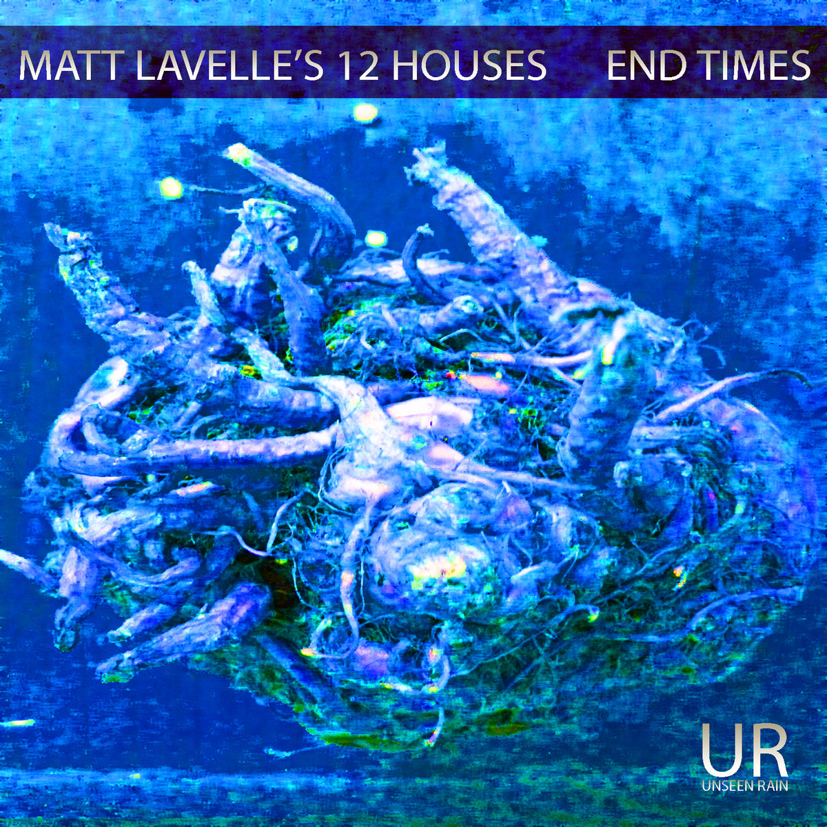 Matt Lavelle's 12 Houses - End Times (2017) [HDTracks FLAC 24bit/96kHz]