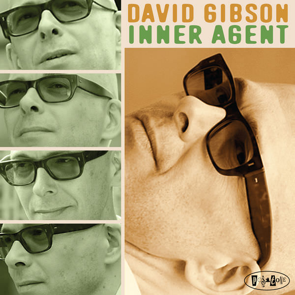 David Gibson - Inner Agent (2016) [FLAC 24bit/88,2kHz]