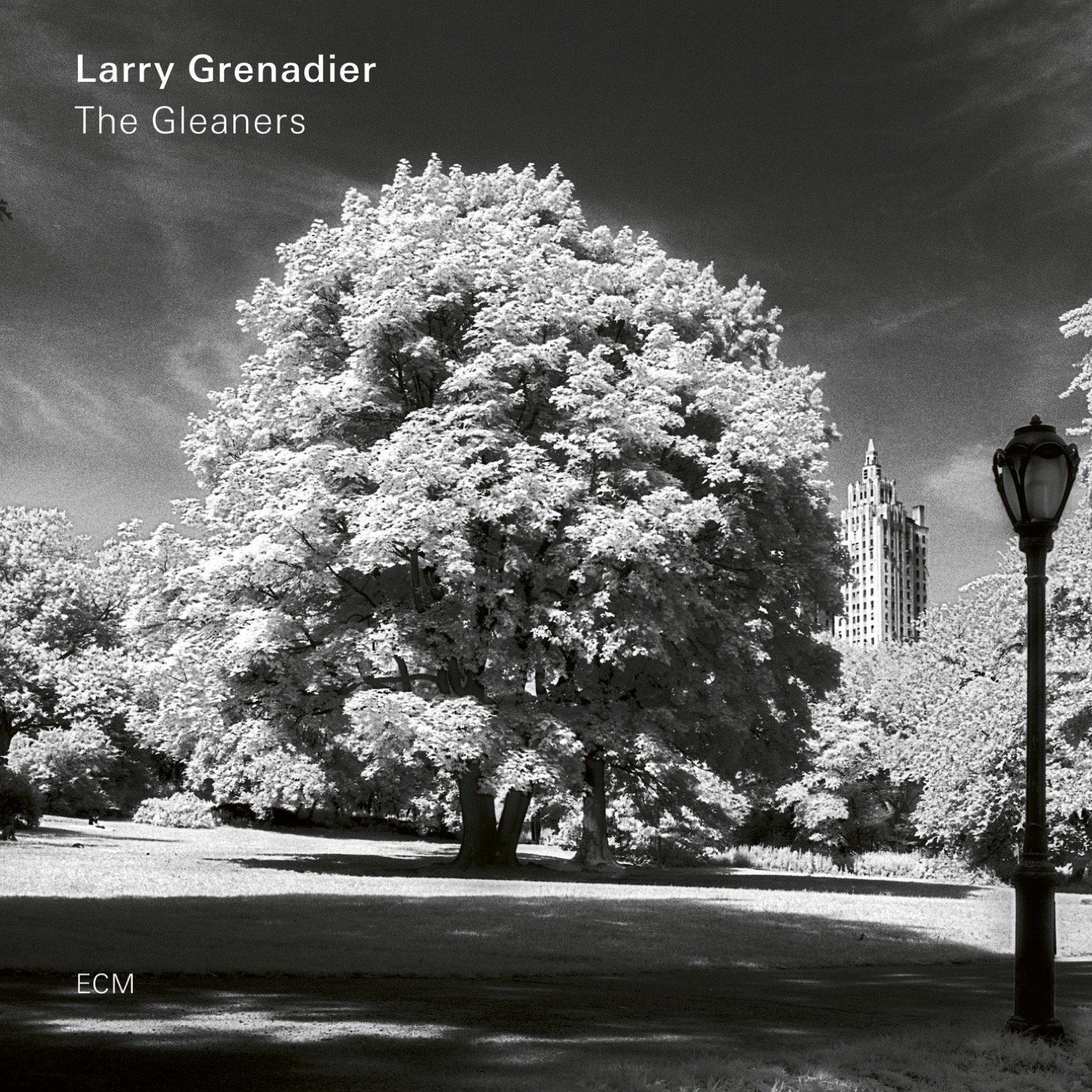 Larry Grenadier – The Gleaners (2019) [FLAC 24bit/96kHz]