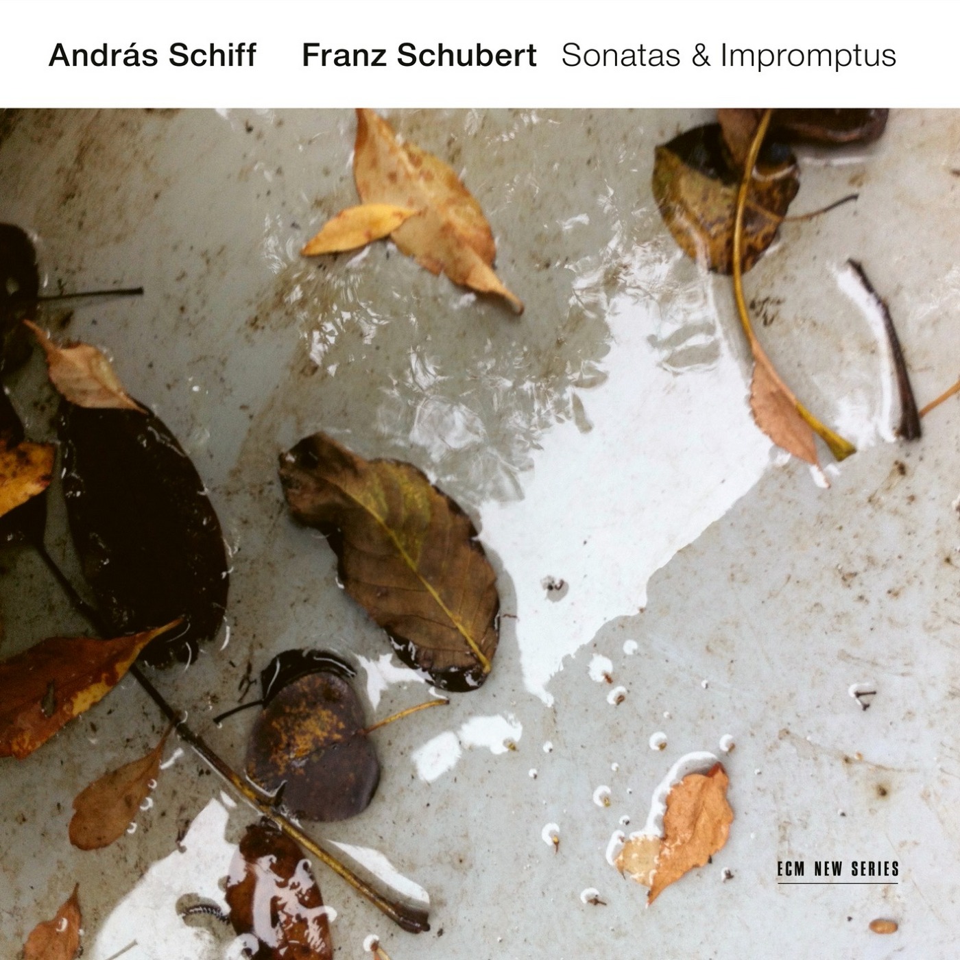 Andras Schiff - Franz Schubert: Sonatas & Impromptus (2019) [FLAC 24bit/96kHz]