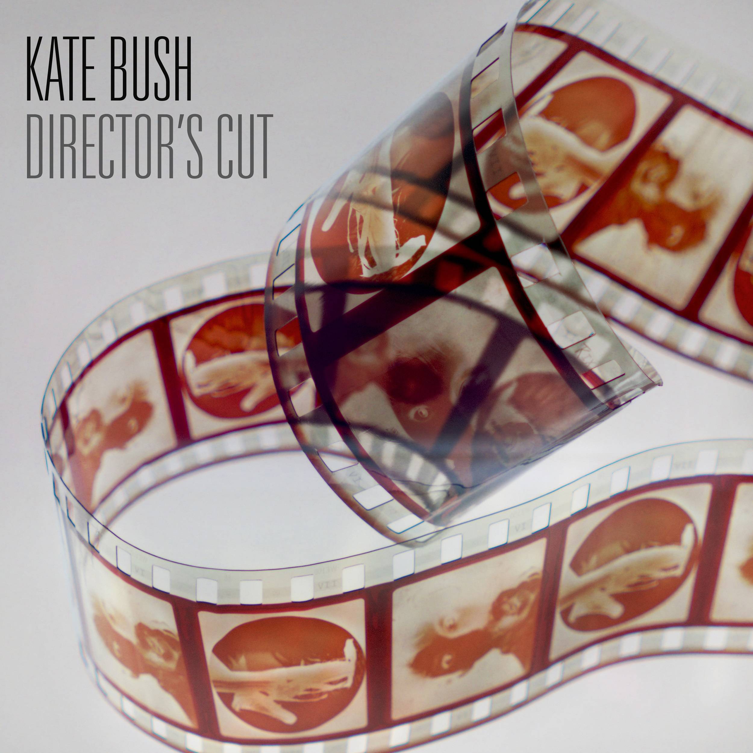 Kate Bush - Director’s Cut (2011/2018) [FLAC 24bit/44,1kHz]