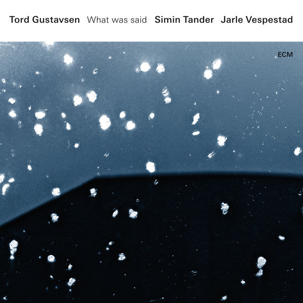 Tord Gustavsen, Simin Tander & Jarle Vespestad – What Was Said (2016) [FLAC 24bit/96kHz]