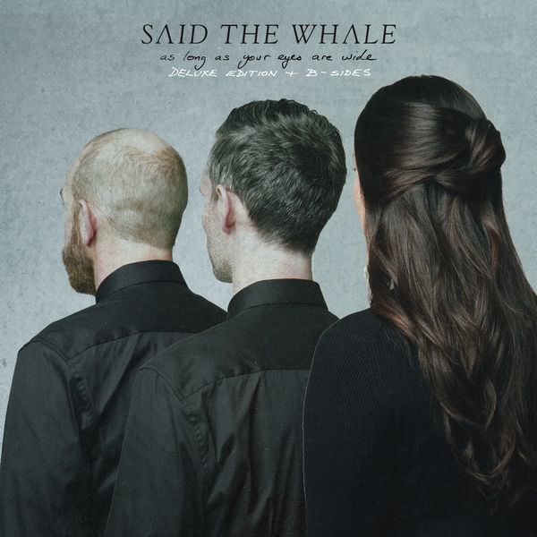 Said The Whale – As Long as Your Eyes Are Wide (Deluxe Edition + B-Sides) (2018) FLAC 24bit/96kHz]