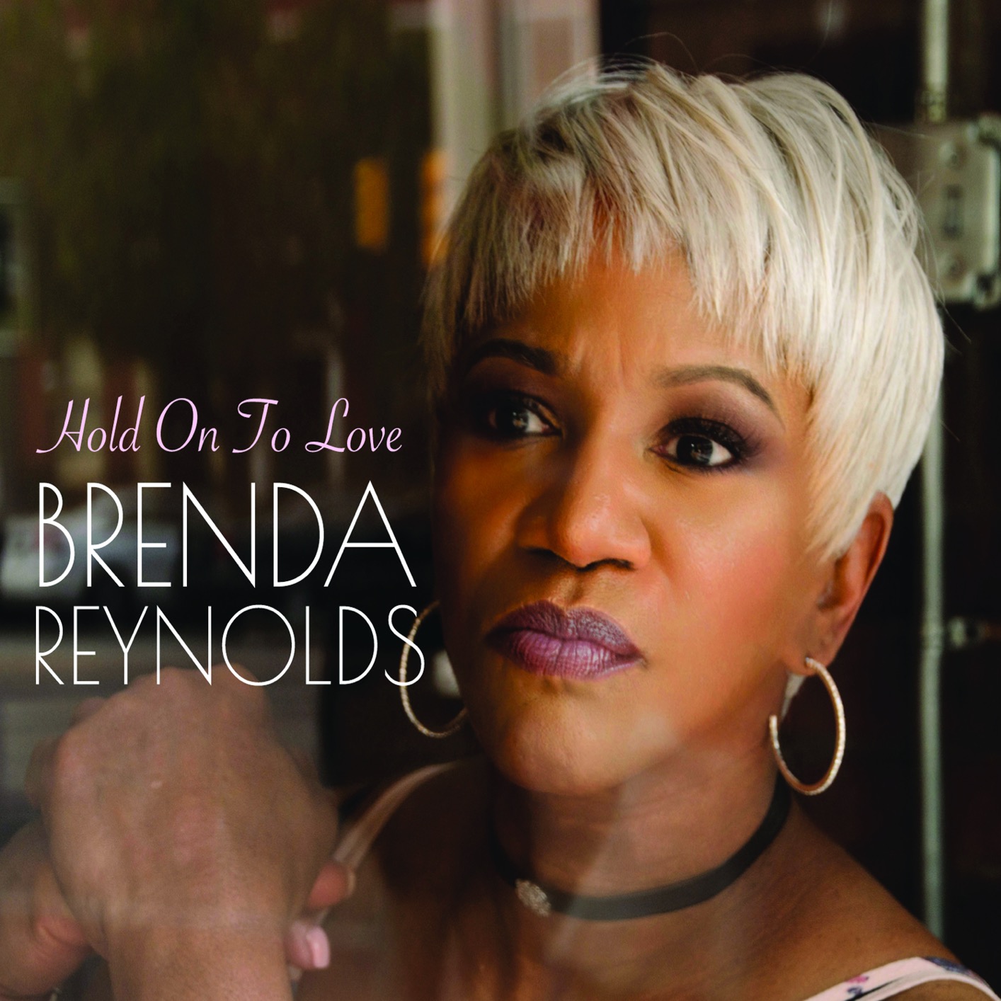 Brenda Reynolds – Hold on to Love (2018) [FLAC 24bit/44,1kHz]