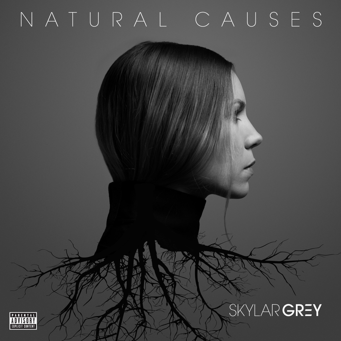 Skylar Grey – Natural Causes (2016) [FLAC 24bit/44,1kHz]