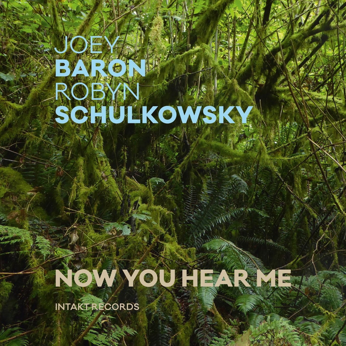 Joey Baron & Robyn Schulkowsky - Now You Hear Me (2018) [FLAC 24bit/96kHz]
