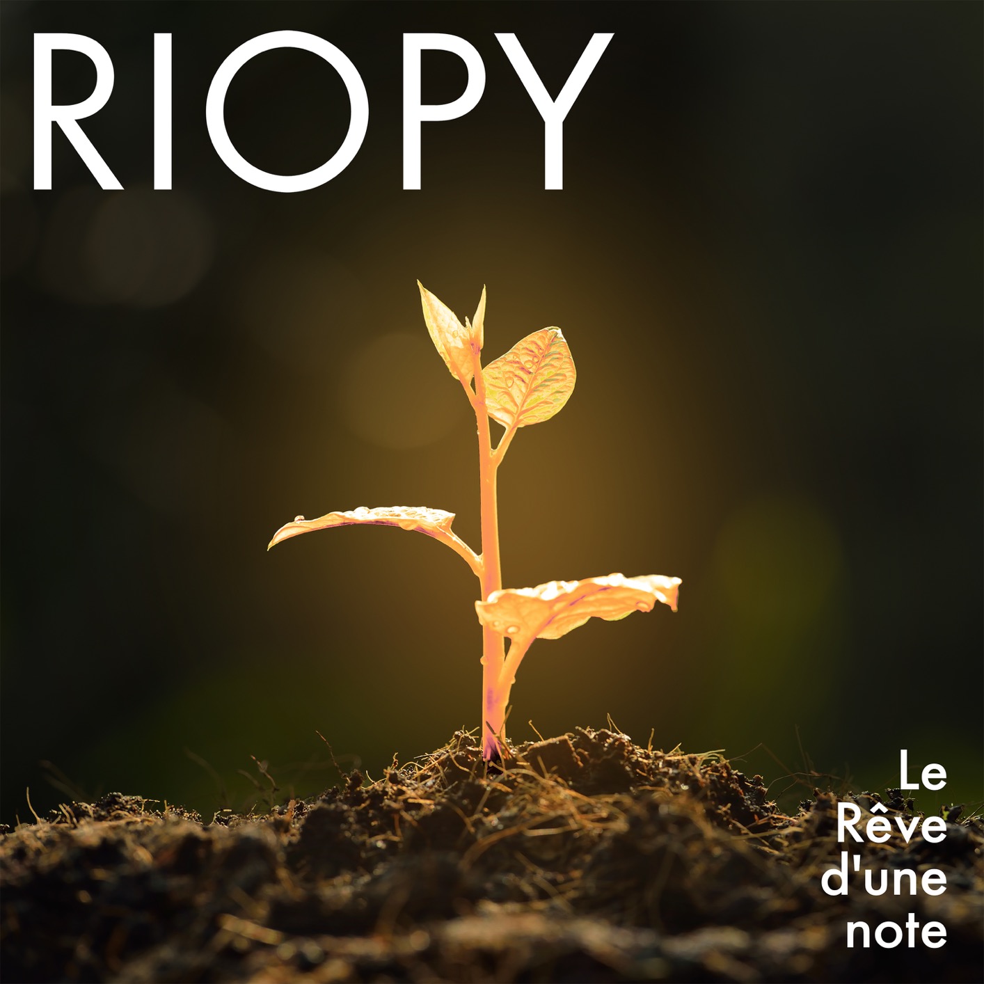 RIOPY - Le Reve d’une note (2019) [FLAC 24bit/44,1kHz]
