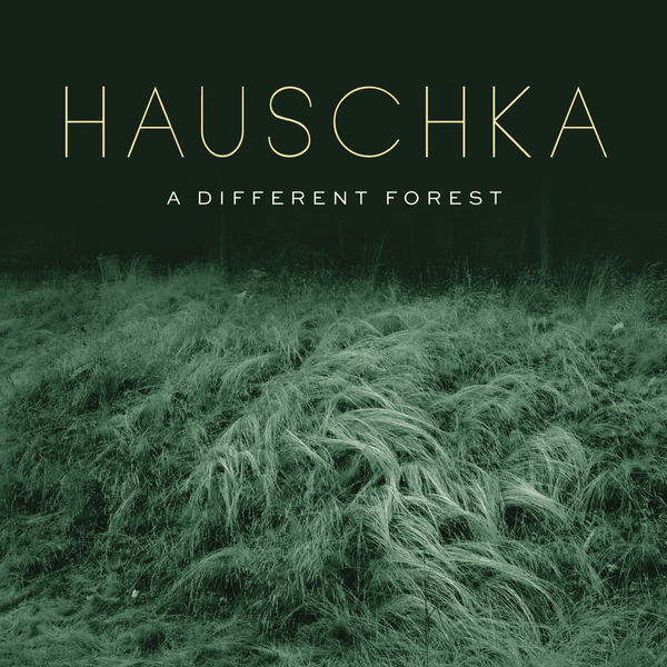 Hauschka - A Different Forest (2019) [FLAC 24bit/48kHz]