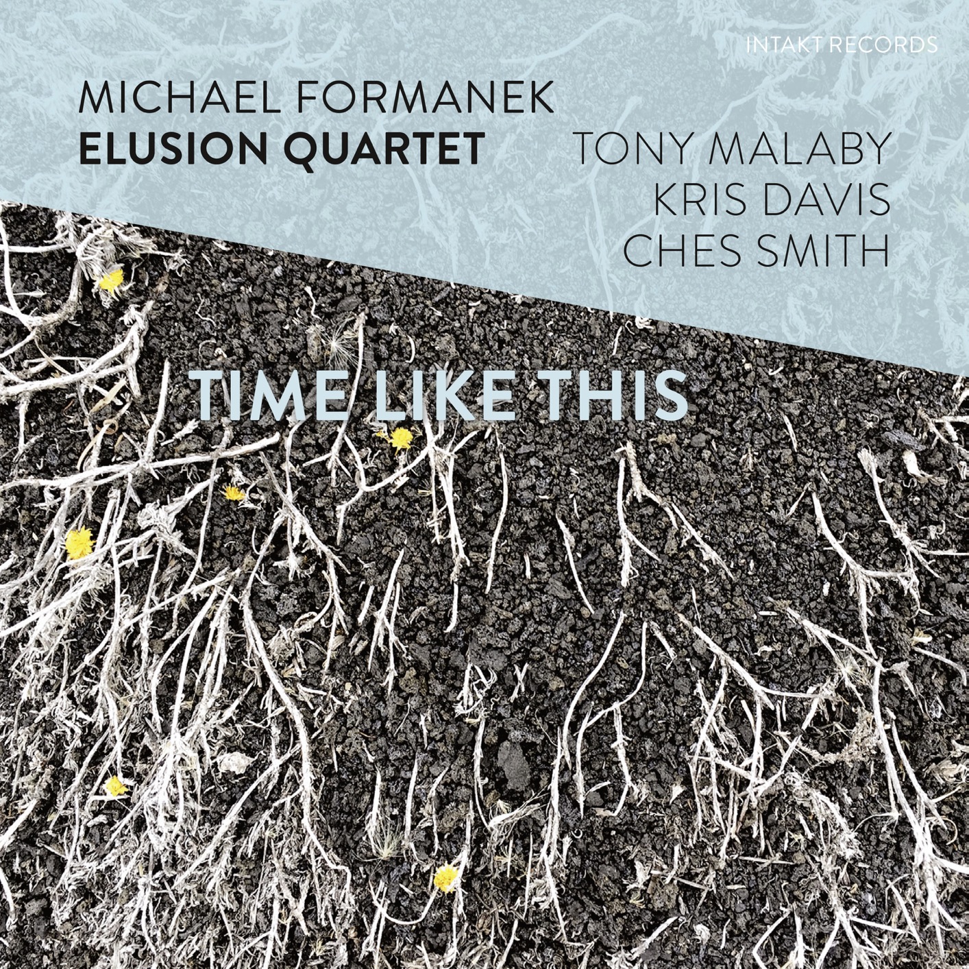 Michael Formanek Elusion Quartet - Time like This (2018) [FLAC 24bit/96kHz]
