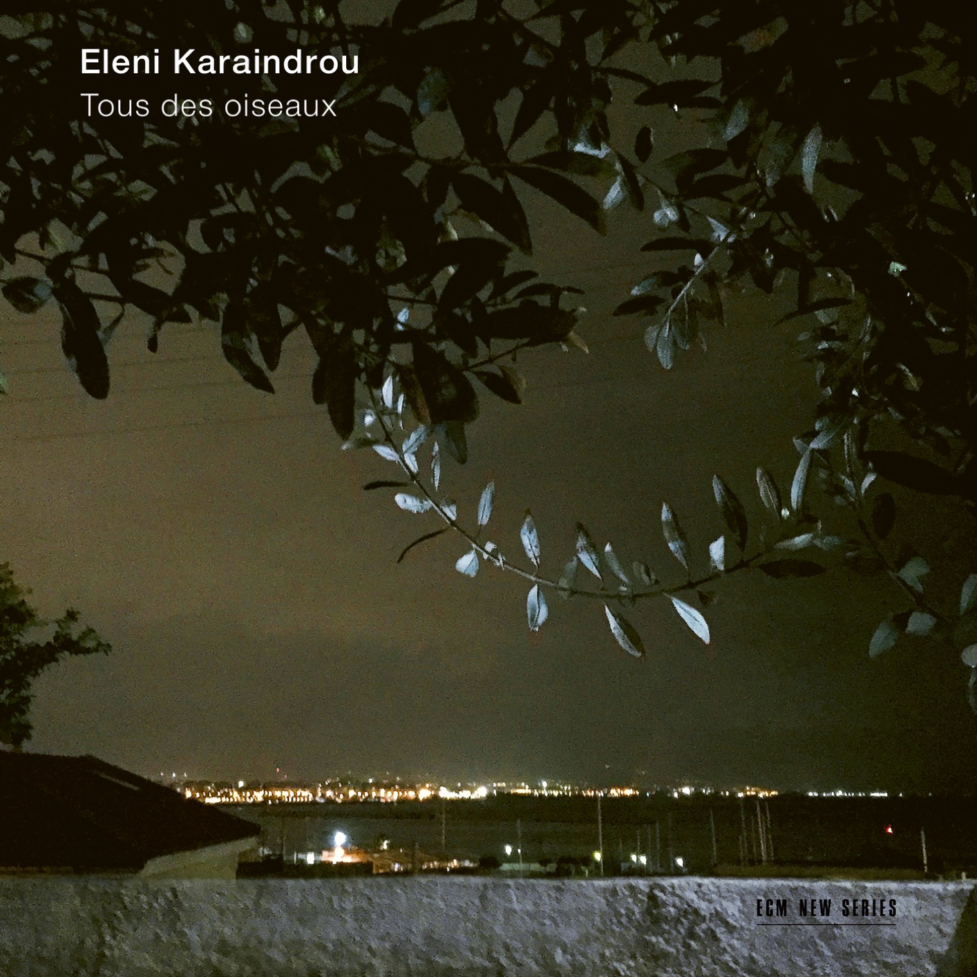 Eleni Karaindrou - Tous des oiseaux (2019) [FLAC 24bit/48kHz]