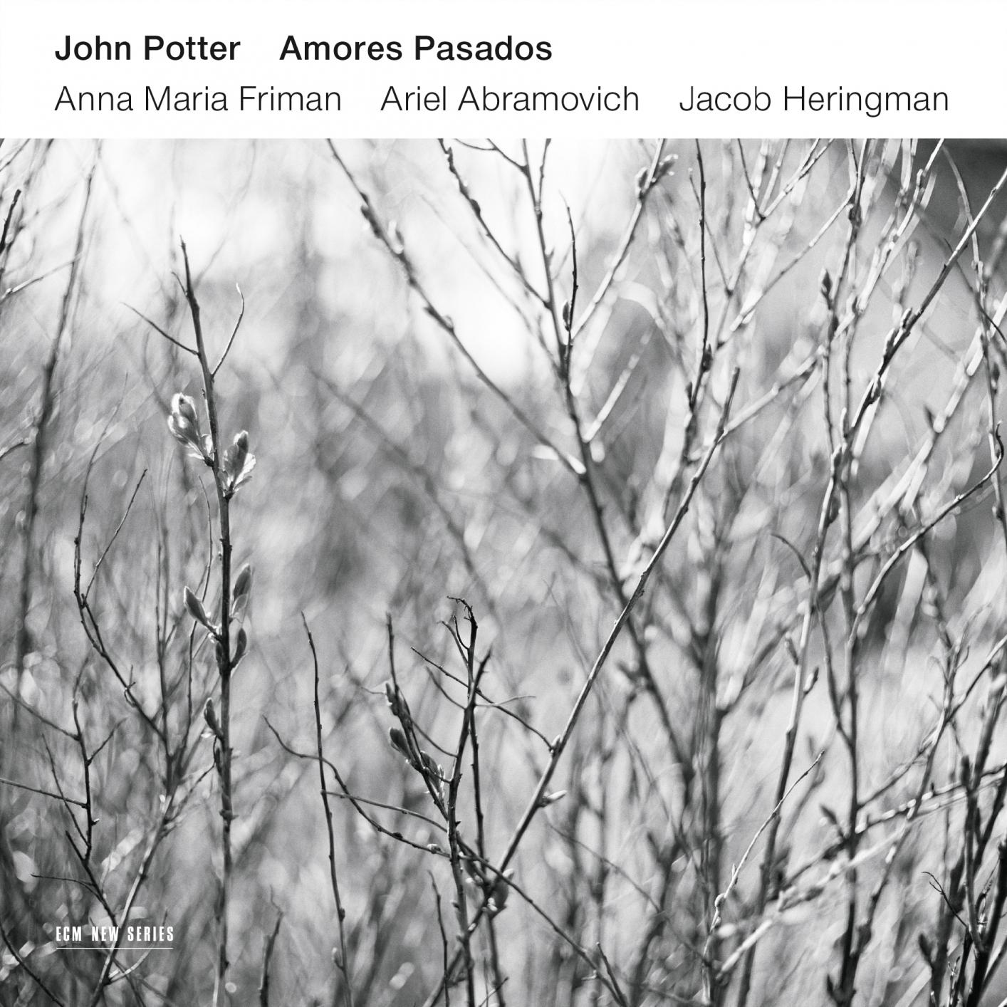 John Potter - Amores Pasados (2015) [FLAC 24bit/96kHz]