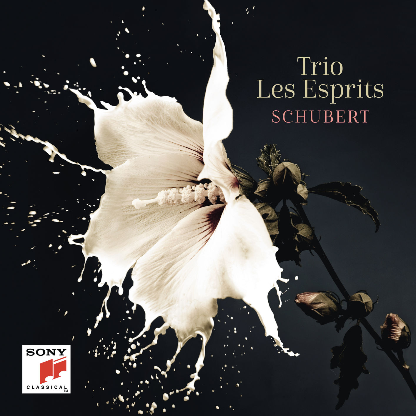Trio Les Esprits – Schubert (2019) [FLAC 24bit/96kHz]