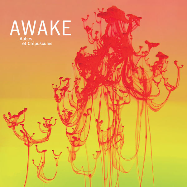 Awake – Aubes et crépuscules (2019) [FLAC 24bit/44,1kHz]
