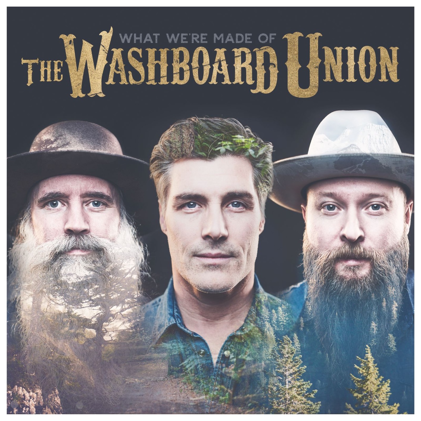 The Washboard Union – What We’re Made Of (2018) [FLAC 24bit/44,1kHz]