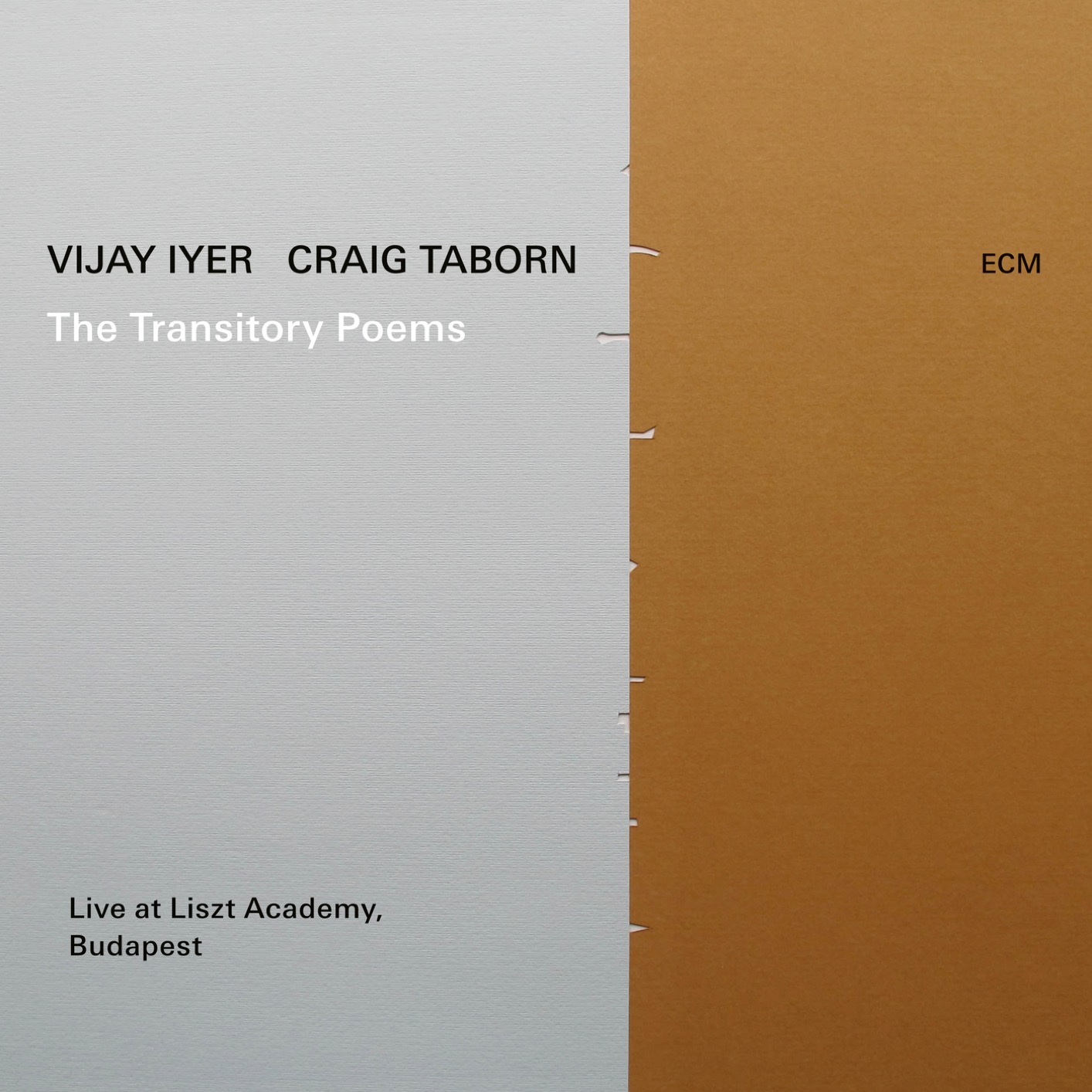 Vijay Iyer & Craig Taborn - The Transitory Poems (2019) [FLAC 24bit/96kHz]