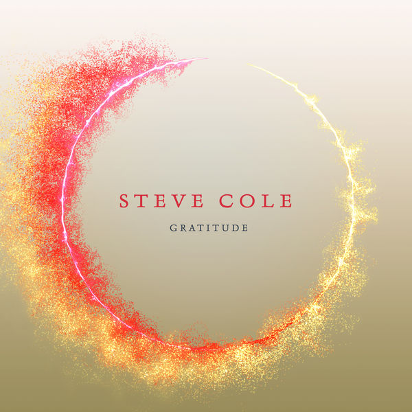Steve Cole - Gratitude (2019) [FLAC 24bit/44,1kHz]