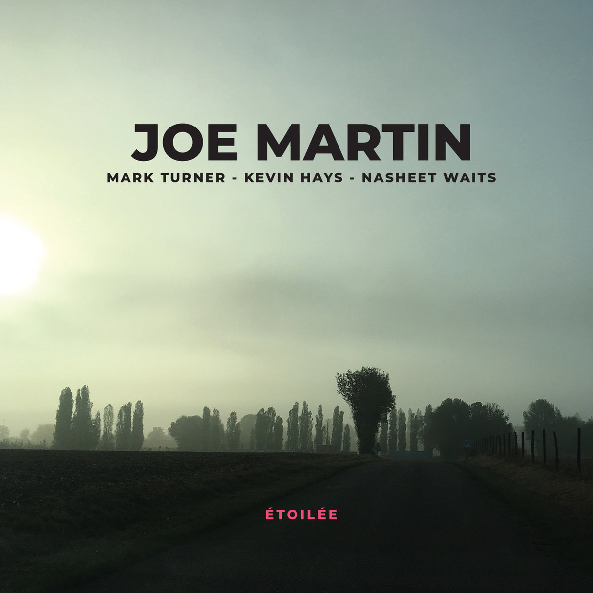 Joe Martin – Etoilee (2019) [FLAC 24bit/96kHz]