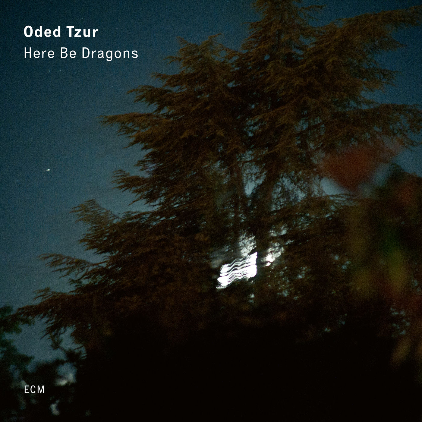 Oded Tzur - Here Be Dragons (2020) [FLAC 24bit/96kHz]