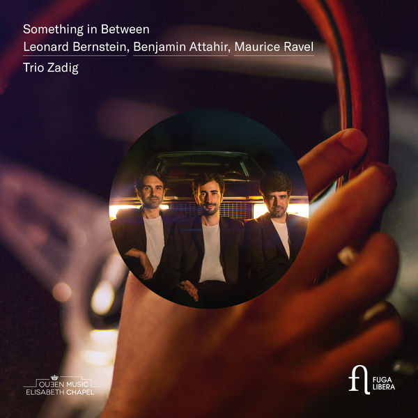 Trio Zadig - Something in Between (2019) [FLAC 24bit/96kHz]