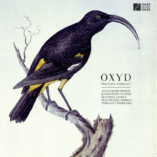 Oxyd – The Lost Animals (2019) [FLAC 24bit/88,2kHz]