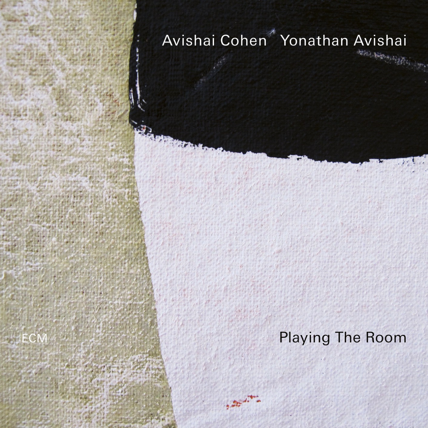 Avishai Cohen & Yonathan Avishai - Playing The Room (2019) [FLAC 24bit/96kHz]